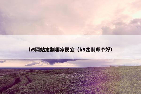 h5网站定制哪家便宜（h5定制哪个好）