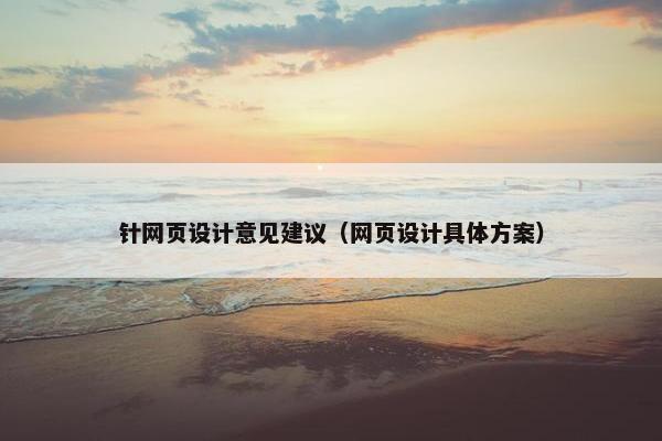 针网页设计意见建议（网页设计具体方案）