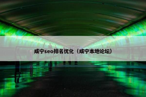 咸宁seo排名优化（咸宁本地论坛）