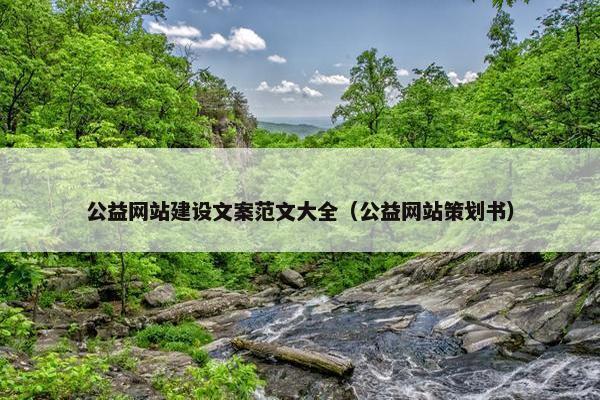 公益网站建设文案范文大全（公益网站策划书）
