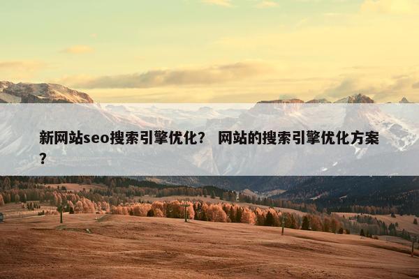 新网站seo搜索引擎优化？ 网站的搜索引擎优化方案？