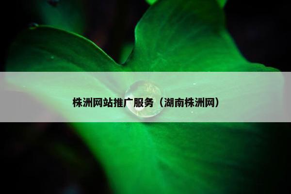 株洲网站推广服务（湖南株洲网）