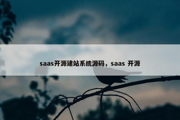 saas开源建站系统源码，saas 开源