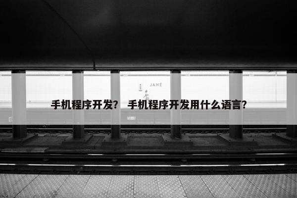 手机程序开发？ 手机程序开发用什么语言？
