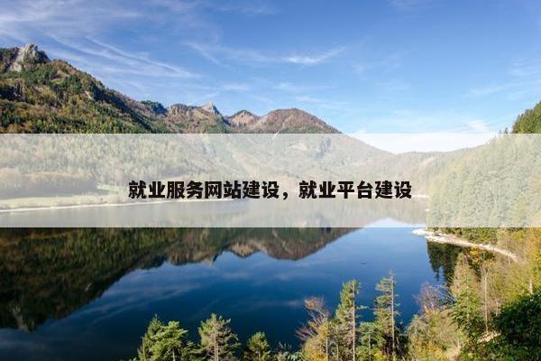 就业服务网站建设，就业平台建设
