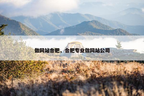 做网站合肥，合肥专业做网站公司