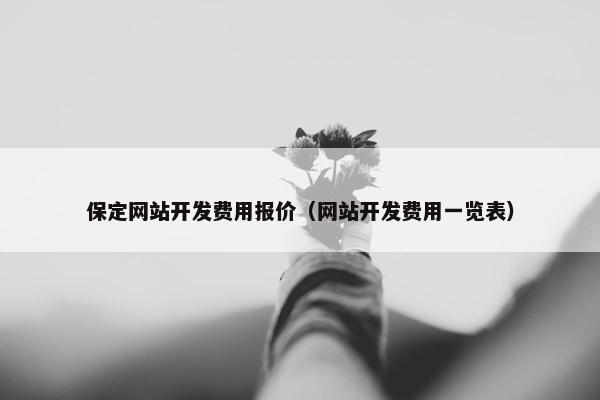 保定网站开发费用报价（网站开发费用一览表）