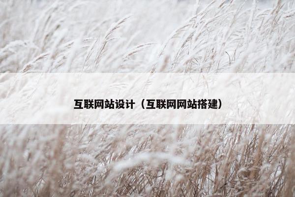 互联网站设计（互联网网站搭建）