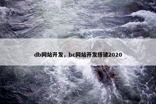 db网站开发，bc网站开发搭建2020
