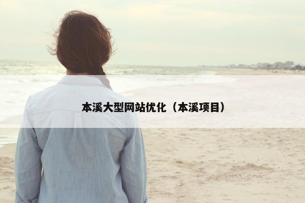 本溪大型网站优化（本溪项目）
