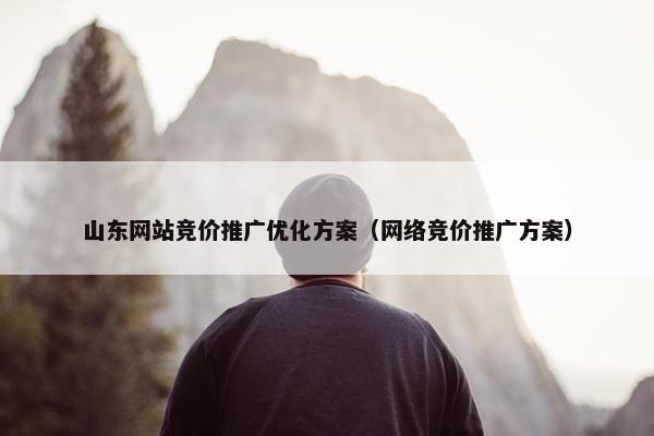 山东网站竞价推广优化方案（网络竞价推广方案）