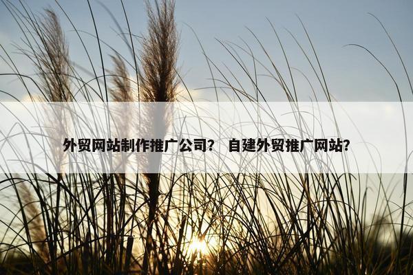外贸网站制作推广公司？ 自建外贸推广网站？