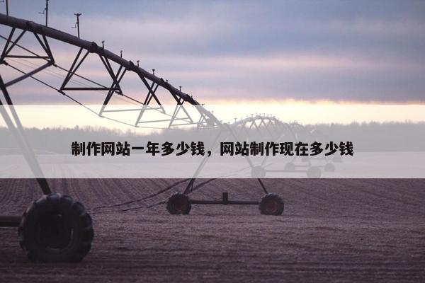 制作网站一年多少钱，网站制作现在多少钱