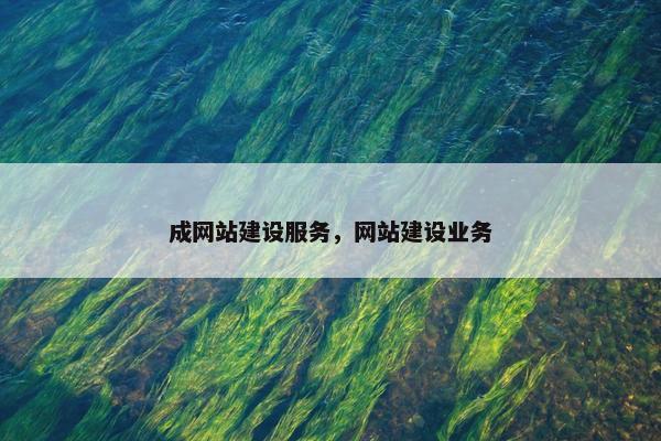 成网站建设服务，网站建设业务