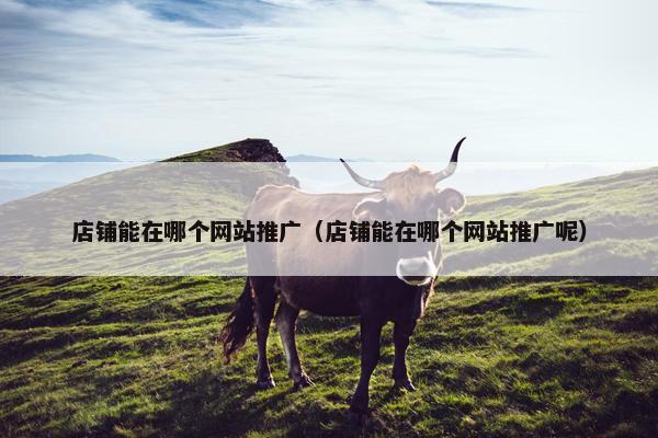店铺能在哪个网站推广（店铺能在哪个网站推广呢）