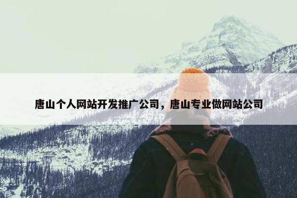 唐山个人网站开发推广公司，唐山专业做网站公司
