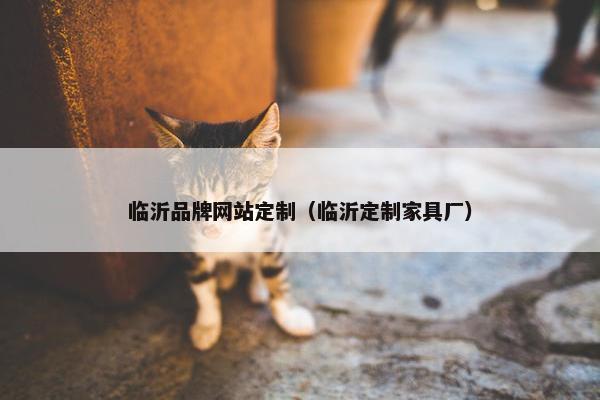 临沂品牌网站定制（临沂定制家具厂）