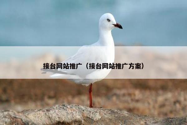 接台网站推广（接台网站推广方案）