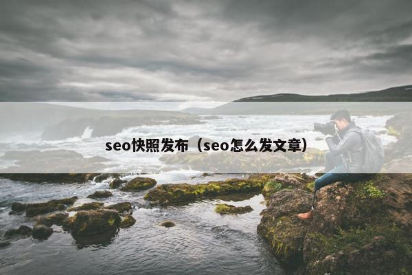 seo快照发布（seo怎么发文章）