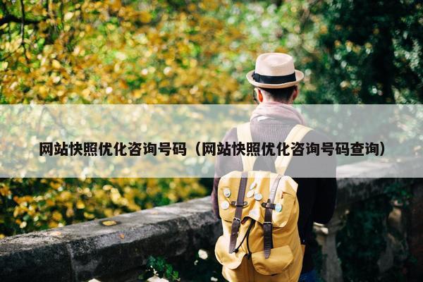 网站快照优化咨询号码（网站快照优化咨询号码查询）