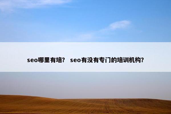 seo哪里有培？ seo有没有专门的培训机构？