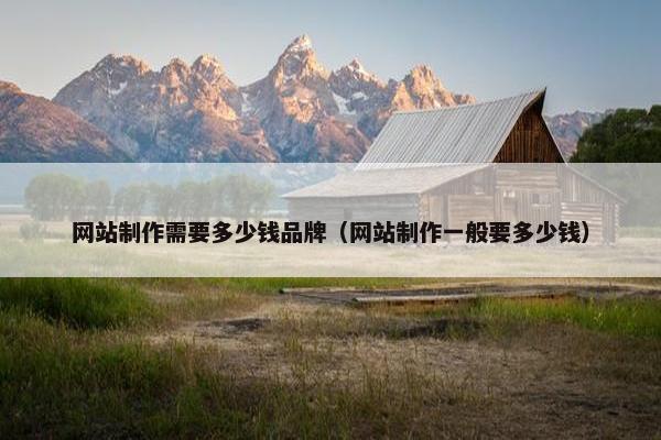 网站制作需要多少钱品牌（网站制作一般要多少钱）