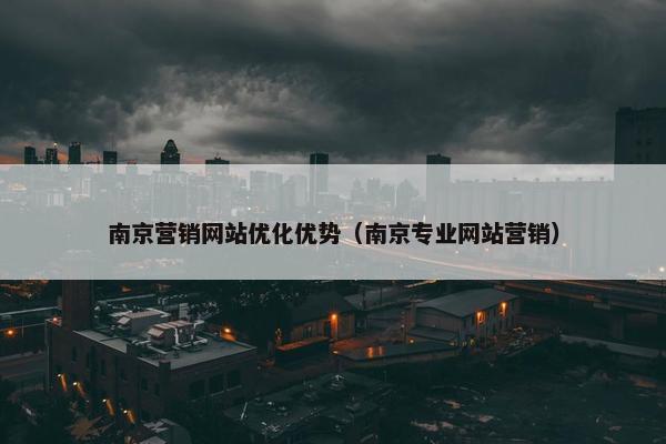 南京营销网站优化优势（南京专业网站营销）