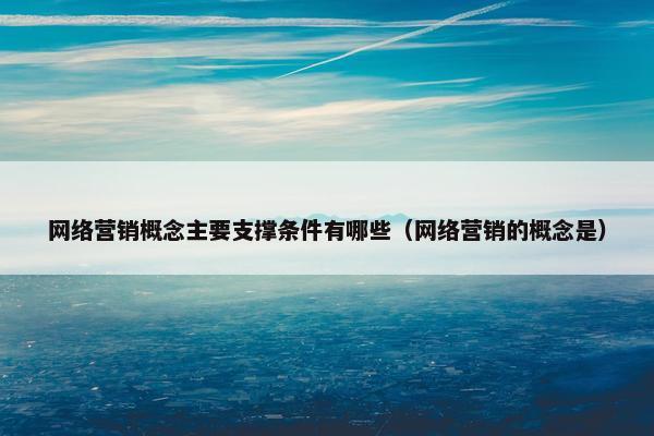网络营销概念主要支撑条件有哪些（网络营销的概念是）