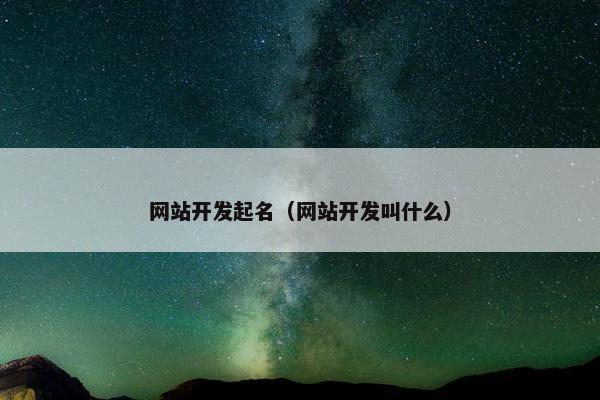 网站开发起名（网站开发叫什么）