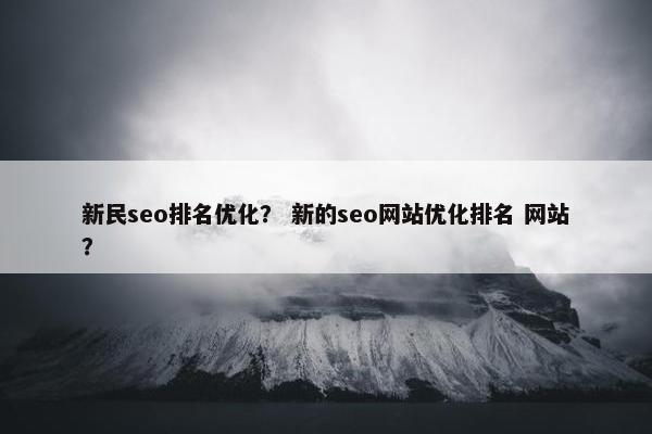 新民seo排名优化？ 新的seo网站优化排名 网站？
