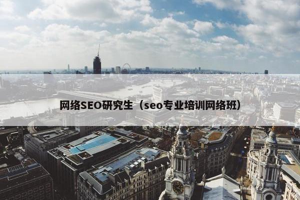 网络SEO研究生（seo专业培训网络班）