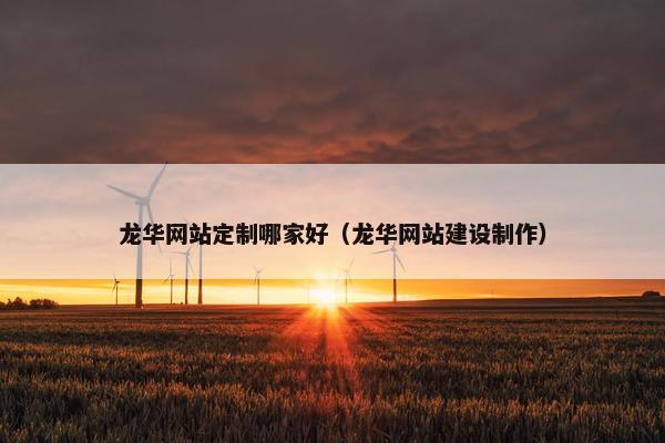 龙华网站定制哪家好（龙华网站建设制作）