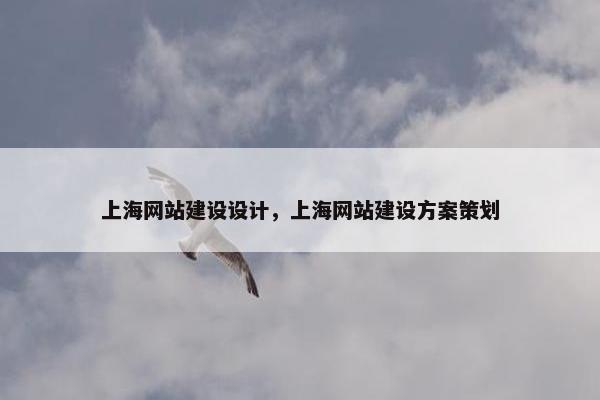 上海网站建设设计，上海网站建设方案策划