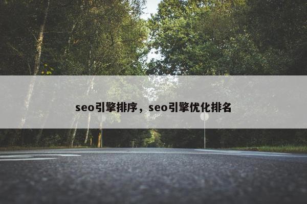 seo引擎排序，seo引擎优化排名