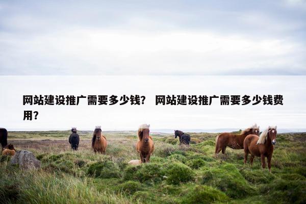 网站建设推广需要多少钱？ 网站建设推广需要多少钱费用？