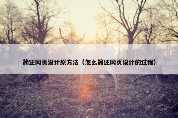 简述网页设计原方法（怎么简述网页设计的过程）