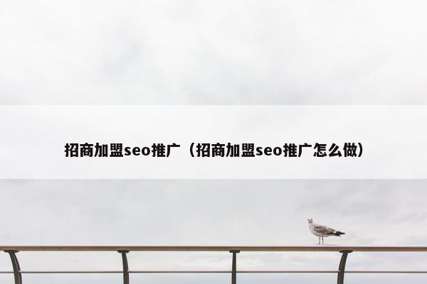 招商加盟seo推广（招商加盟seo推广怎么做）