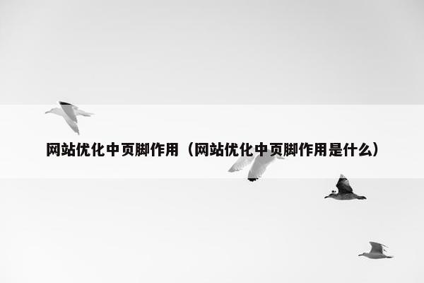 网站优化中页脚作用（网站优化中页脚作用是什么）