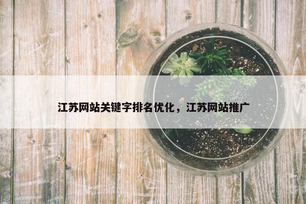 江苏网站关键字排名优化，江苏网站推广