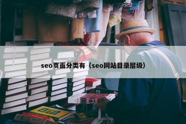 seo页面分类有（seo网站目录层级）