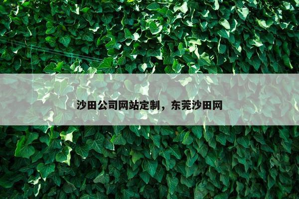 沙田公司网站定制，东莞沙田网