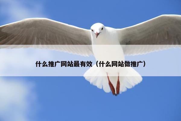 什么推广网站最有效（什么网站做推广）