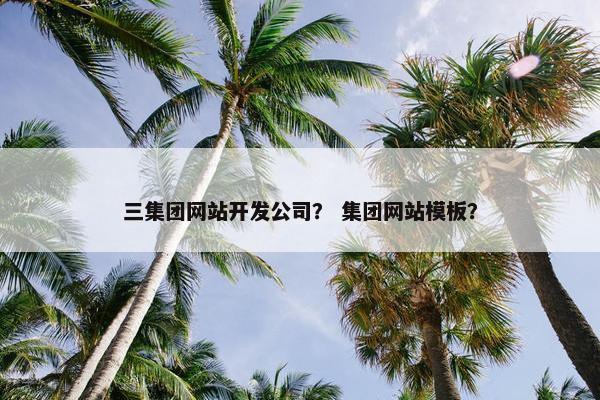 三集团网站开发公司？ 集团网站模板？