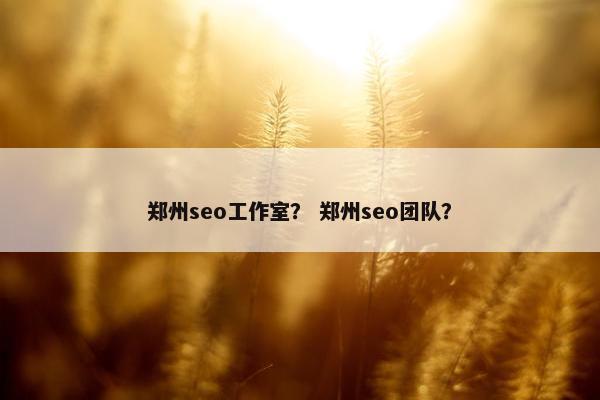 郑州seo工作室？ 郑州seo团队？