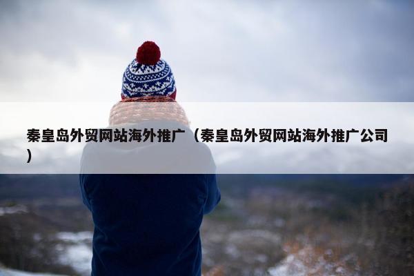 秦皇岛外贸网站海外推广（秦皇岛外贸网站海外推广公司）