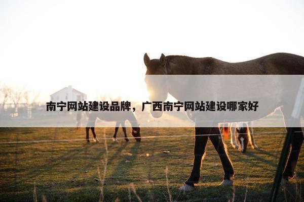 南宁网站建设品牌，广西南宁网站建设哪家好