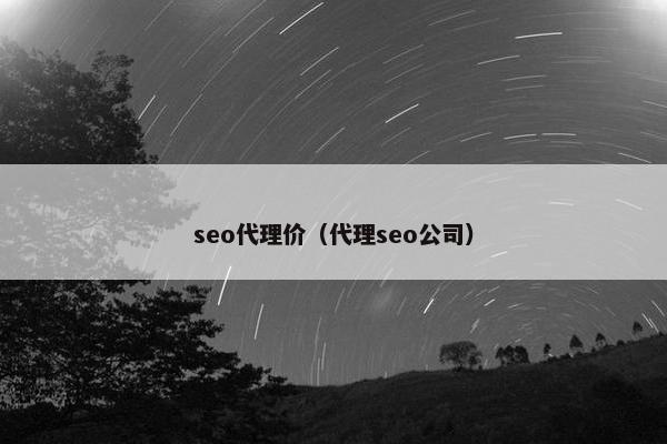 seo代理价（代理seo公司）