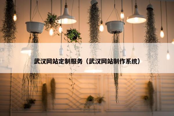 武汉网站定制服务（武汉网站制作系统）