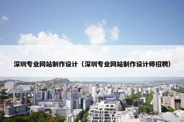 深圳专业网站制作设计（深圳专业网站制作设计师招聘）