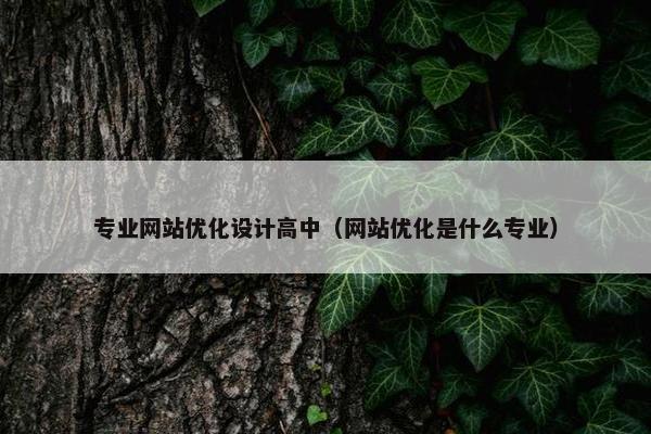 专业网站优化设计高中（网站优化是什么专业）